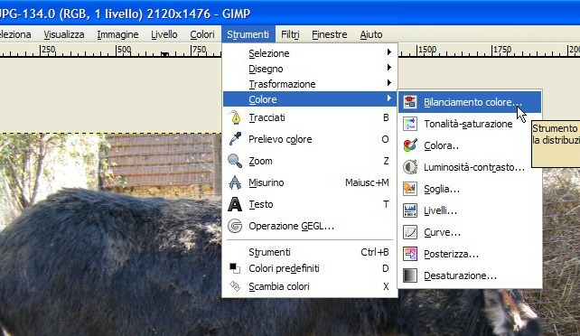 GIMP: Maschere di Livello